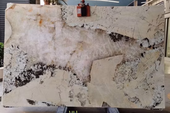 Brazilian Patagonia Granite Price Luxury Stone Granite/Quartz/Marble Slab for Kitchen Countertops/Worktops/Decoration/Flooring/Wall